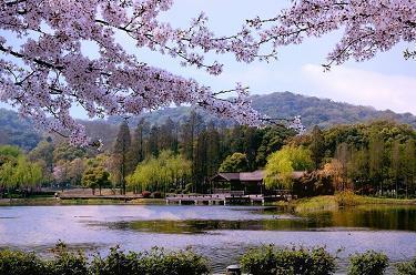 顺制