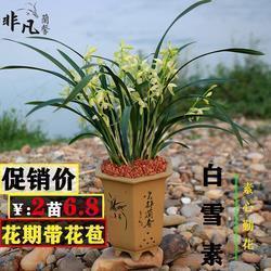 吃药的痛苦心情说说 关于吃药吃到怕的说说(精选30句)
