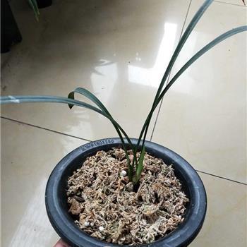 舆病