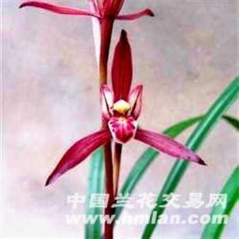 精疲力尽