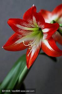 大寒遇上腊八节同一天句子说说