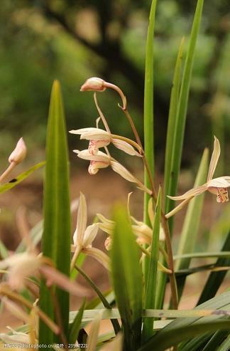 2021愚人节快乐祝福语简短