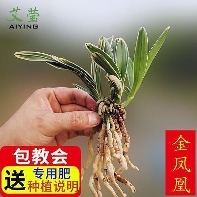 避凶就吉