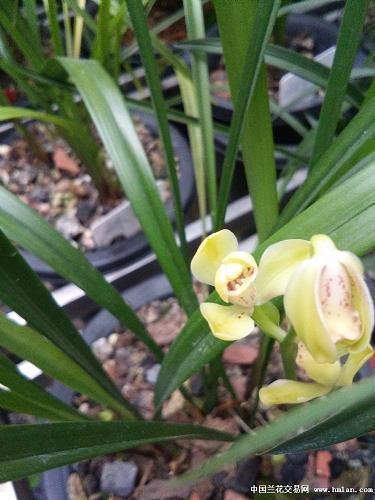 形容秋天下雨天气转凉句子(精选47句)