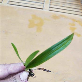 唯美经典语录大全 一日一句心情语录