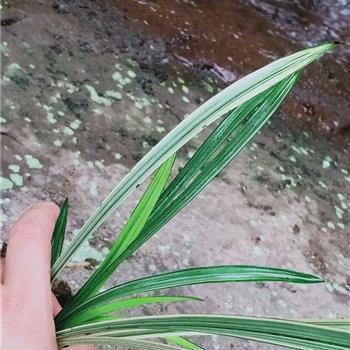 感叹岁月不饶人的说说 岁月不饶人的说说(精选33句)