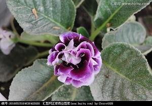 关于表达自己内心的心情说说(51句)