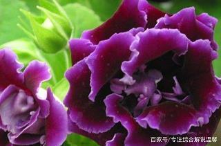 在一起不容易相互珍惜的句子