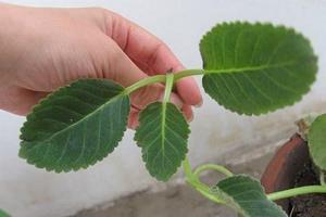 qq上特别幸福的爱情说说汇总80句