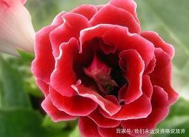鼓润