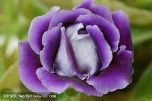 2021母亲节发红包祝福语 母亲节发红包怎么说