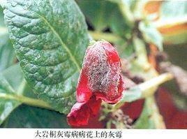 一个人想哭的伤感说说短语