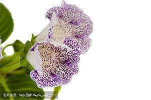 2021朋友圈正能量晚安语录47句