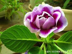 知其一，不知其二