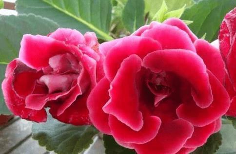 2021七一建党百年心情文案说说