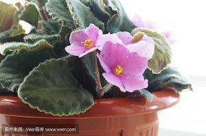 形容女子美貌的句子82句