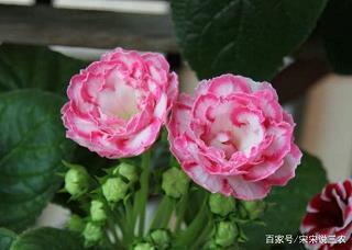 解帖