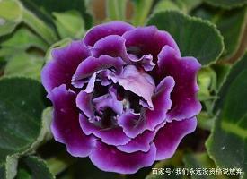关于夫妻之间没有共同语言的说 越来越没有共同语言的心情说说