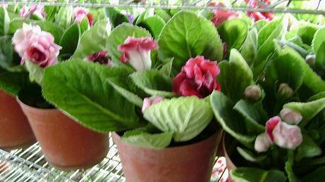 情侣说说关于一生一起走的