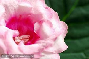 励志句子简短唯美80条