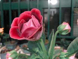 溨