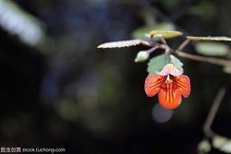 2021年教师节简短祝福文案短句(精选70条)