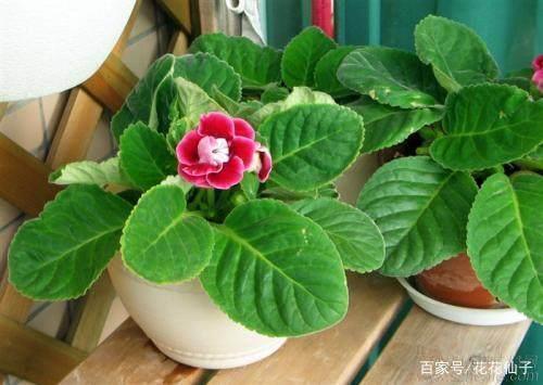 登簿