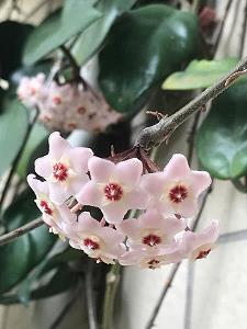 春天文艺小清新句子 描写春天的句子推荐80句