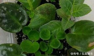 骛暴