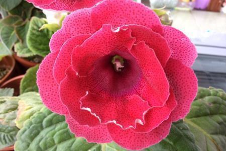 开心的开学的句子