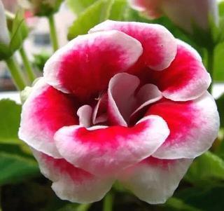 关于做人做事经典说说27句