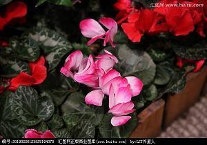 饔飱不继