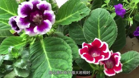 有关坚强的说说24句