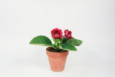 长年三老