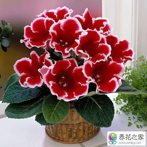 很想一个人的心情说说 我想一路陪伴着你，让生命从此更加绚烂