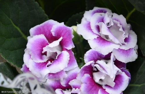 心烦发朋友圈的短句子 写给自己心烦的说说24句