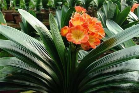 2021中秋节发朋友圈的文案精选76句