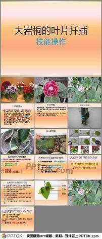 韩徐