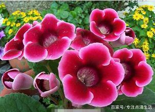 经邦纬国