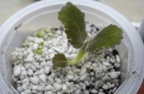 委婉的表达生气的句子 伤心生气的句子(精选23句)