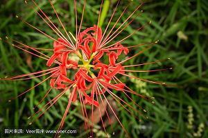 教师节贺卡祝福语2021大全(精选79条)
