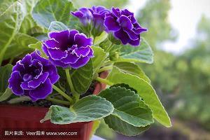 关于垃圾分类的标语(精选40句)