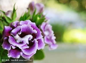 2021谷雨节气祝福寄语精选70句