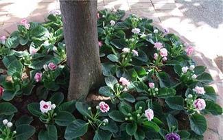 女生喜欢的经典心情说说19句