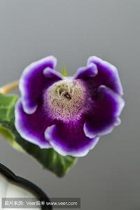 2021适合新年开工大吉祝福语句子最新