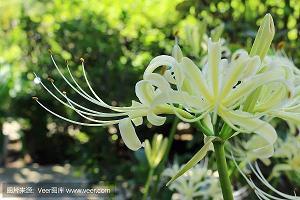 很暖很治愈的心情说说大全 愿你此生尽兴，赤诚善良_孩子愿你此生唯美句子