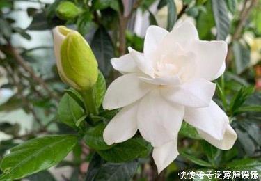 萧郎陌路