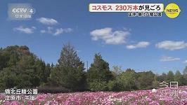 2020最新夏至节气文案 抖音夏至说说大短句全