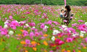 2021高考励志口号朋友圈句子81句