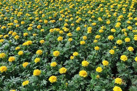 发朋友圈简短好句子关于朋友